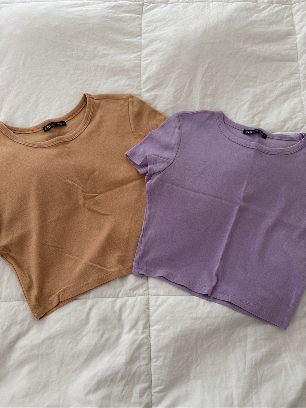 Zara Lilac & Camel Cropped Tee Duo